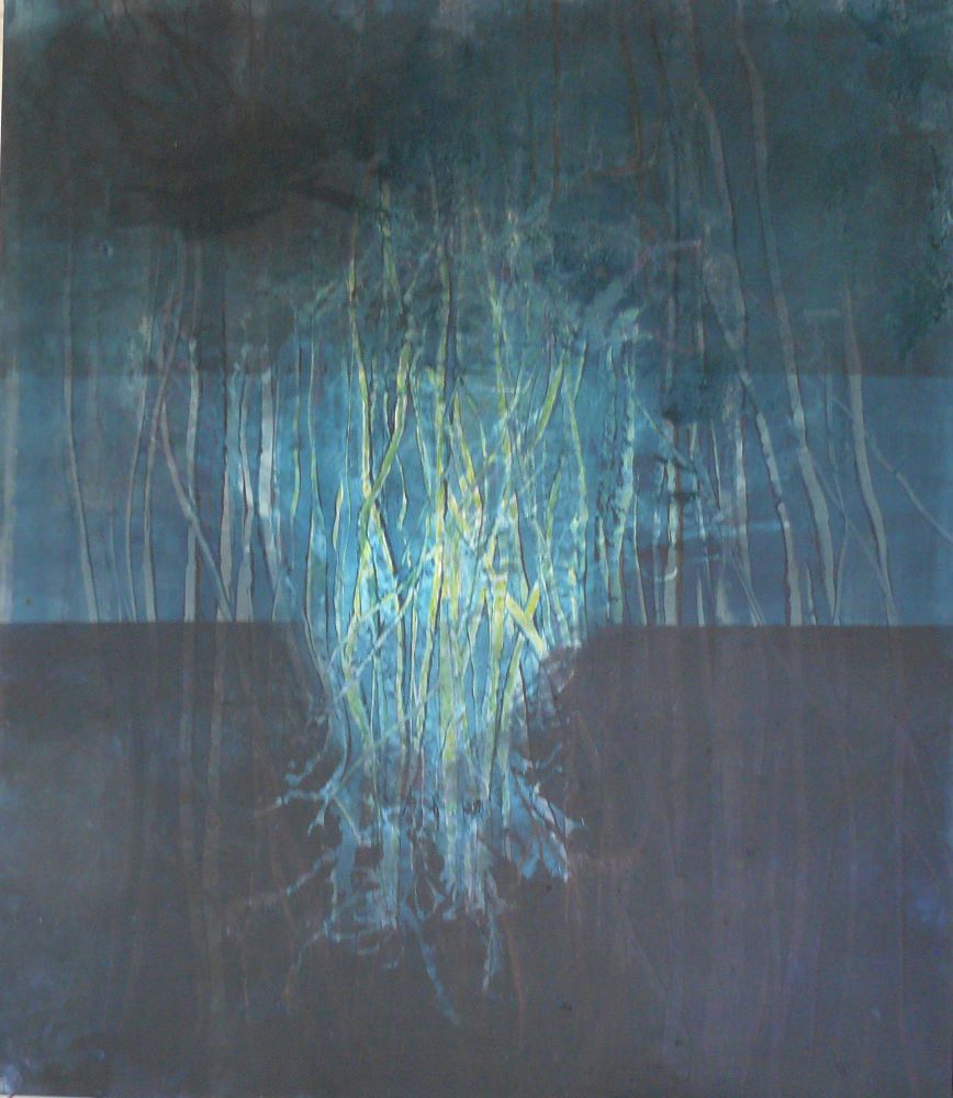 Bild 51